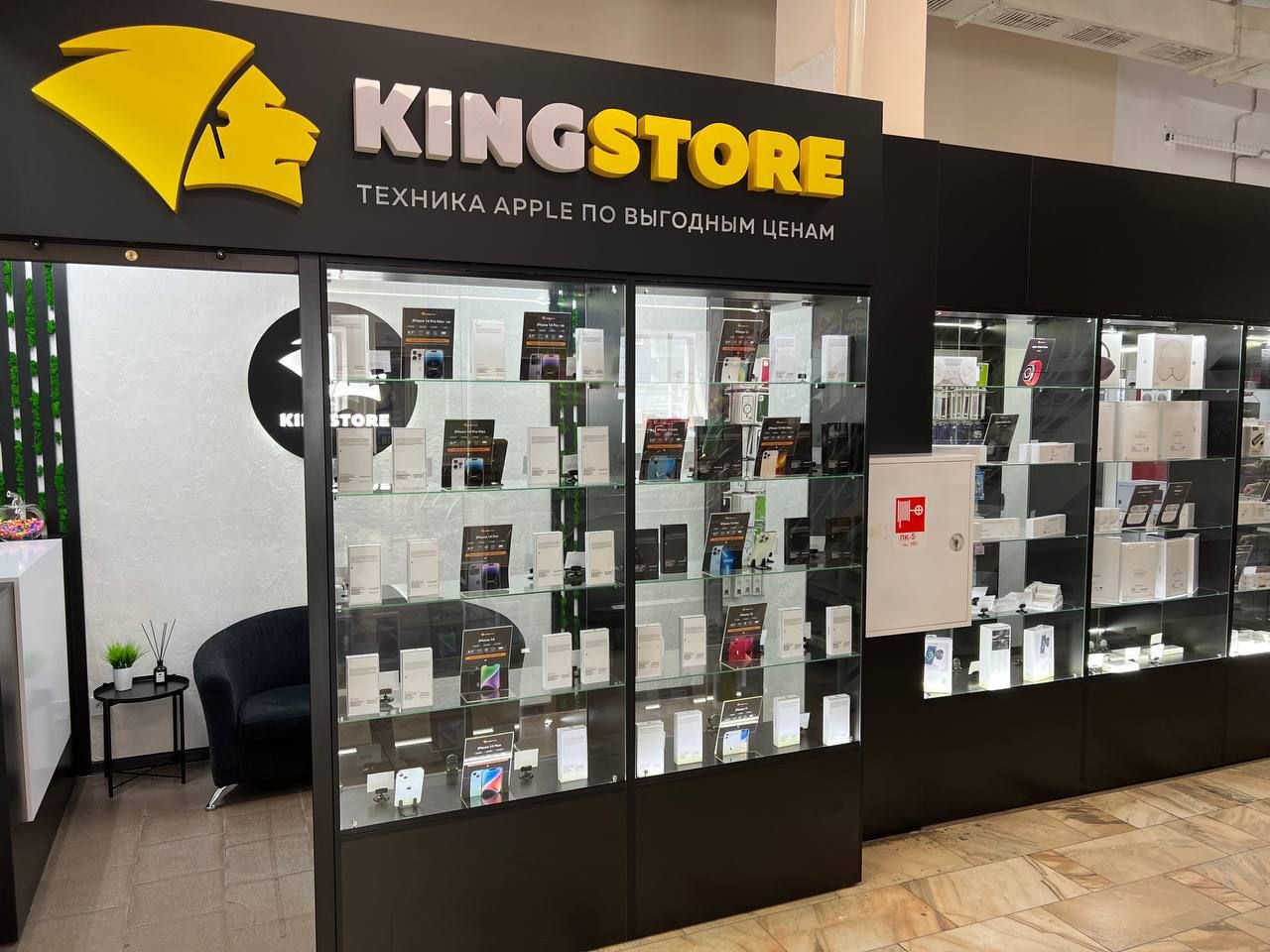 Кингстор балаково. Кингстор уфа. Кингсторе москва. Kingstore. Кинг стор екатеринбург.