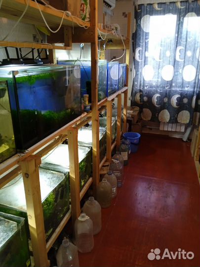 Аквариумы