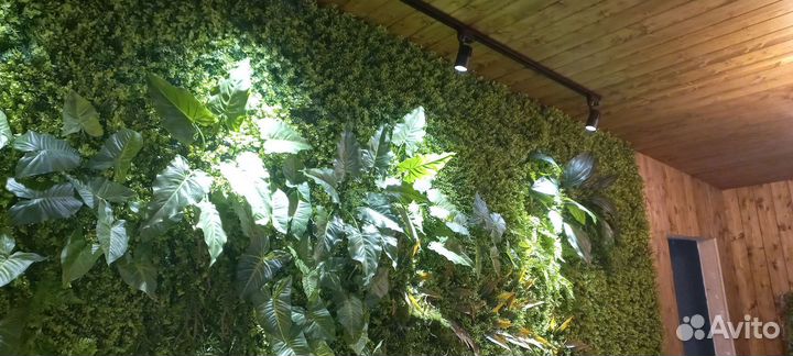 Домашняя помощь 