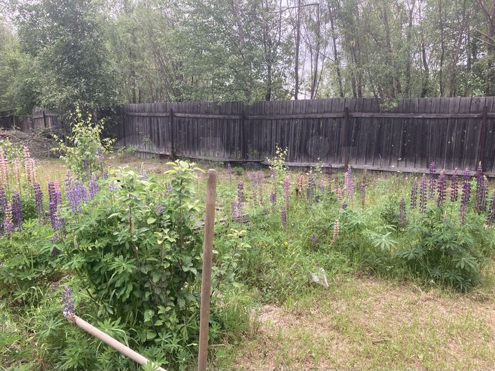 Участок 8 сот. (ИЖС)