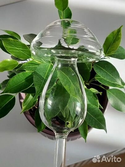 Автополив для комнатных растений в стиле Zara home