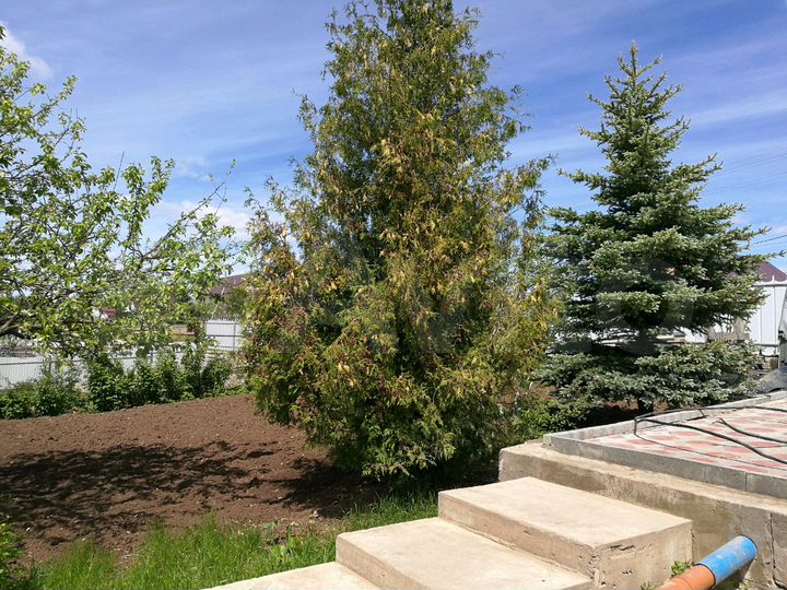 Дом 100 м² на участке 13 сот.