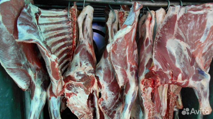 Мясо Халяль говядина, телятина