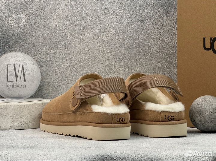 Угги женские тапочки UGG Goldenstar Clog Chocolate