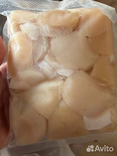 Гребешок Приморский