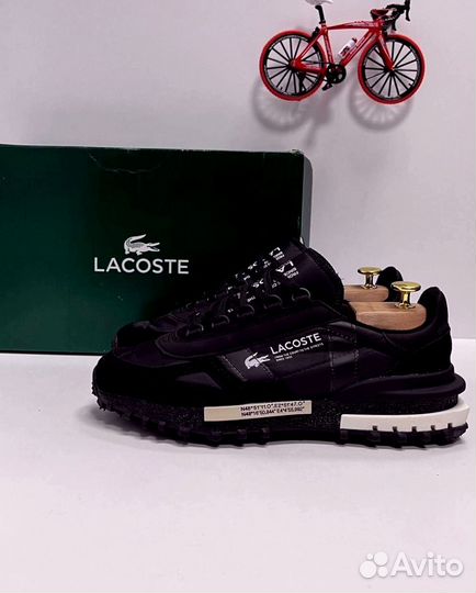 Кроссовки Lacoste premium