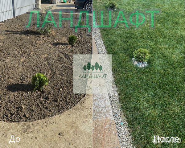 Парковый рулонный газон доставка Чехов