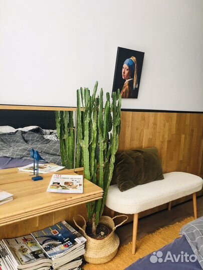 Консультация дизайнера- декоратора