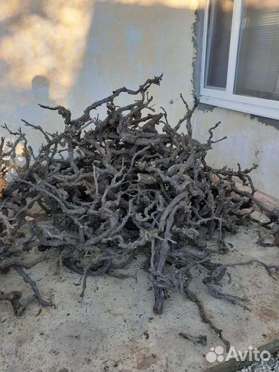 Коряги для аквариумов,террариумов