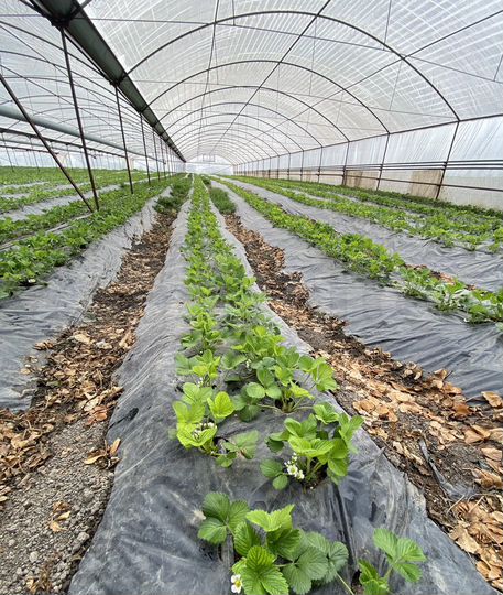 Дом 78 м² на участке 34 сот.