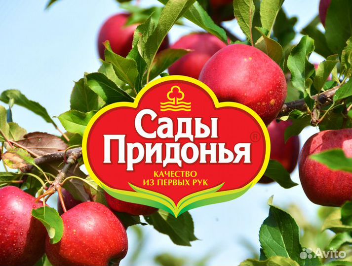 Уборщик уборщица