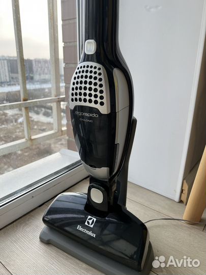 Пылесос Electrolux Ergorapido