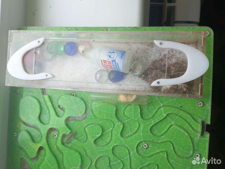 Муравьиная ферма с муравьями