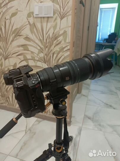 Sigma 70-200 apo os nikon