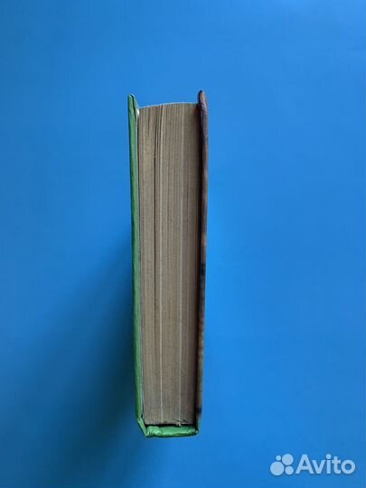 Ваши домашние любимцы