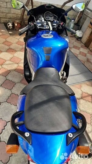 Zx9r продам