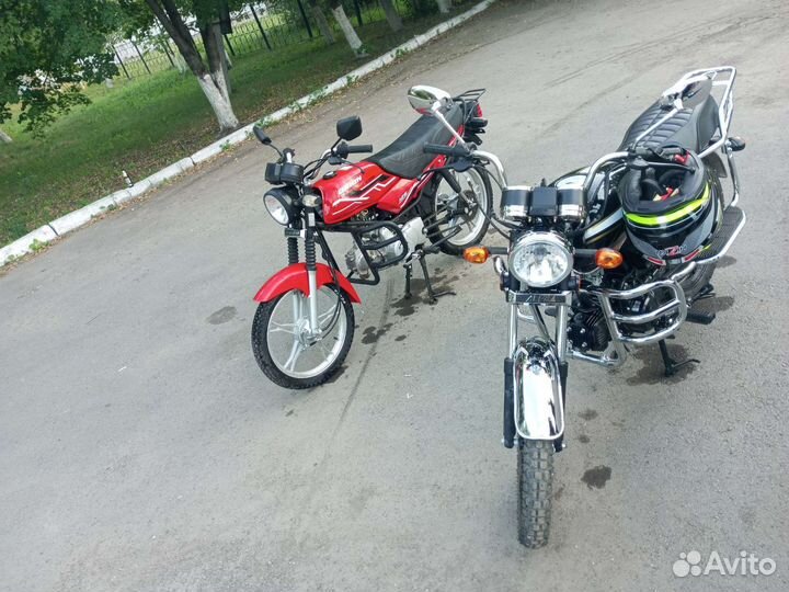 Orion Gryphon125