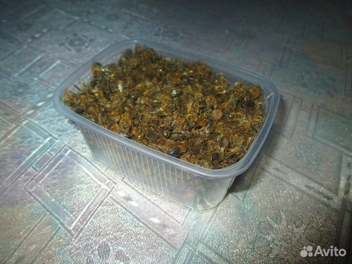 Мёд липовый 2023г(опт250)