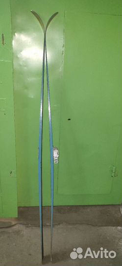 Лыжи туристические