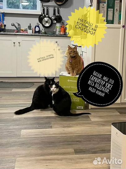 Кухня с техникой с гарантией