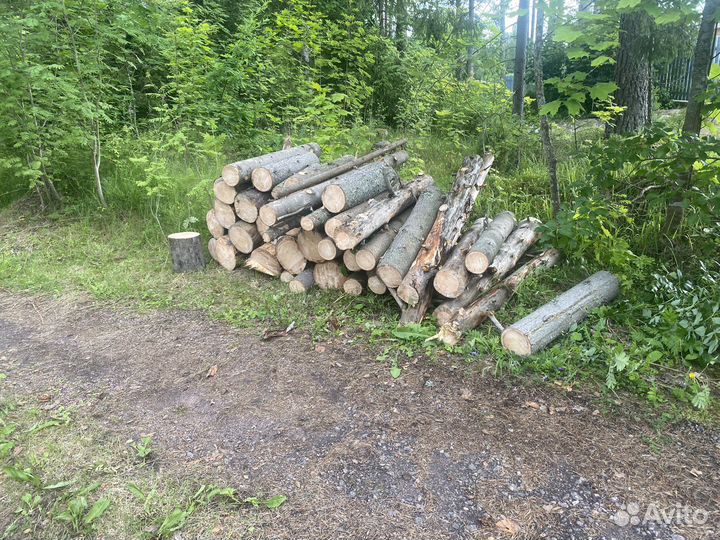 Дрова, Ель и Сосна