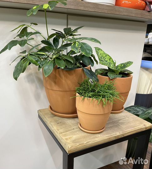 Кашпо терракота