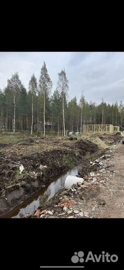 Расчистка участка от деревьев и кустарников