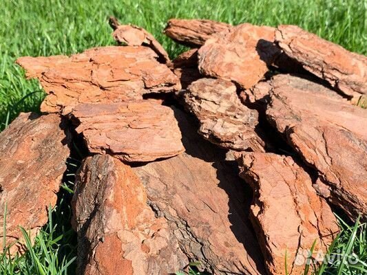 Мульча кора