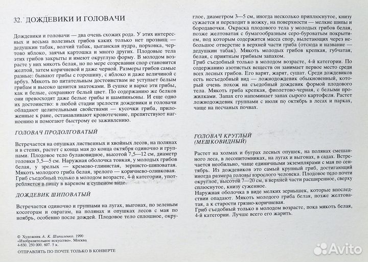 Набор открыток 