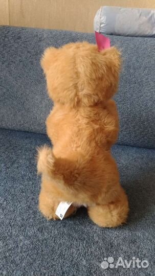 Котенок Daisy Hasbro