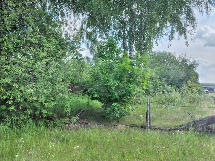 Участок 16,2 сот. (ИЖС)