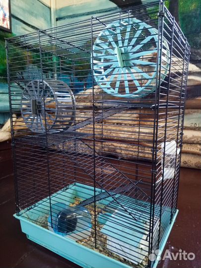 Хомяк с клеткой