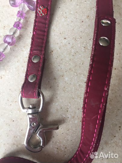 Одежда для собак