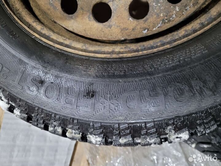 Gislaved Nord Frost 200 205/65 R15 99