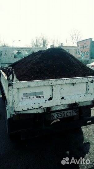 Перегной. Чернозём