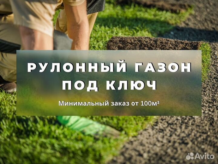 Укладка рулонного газона