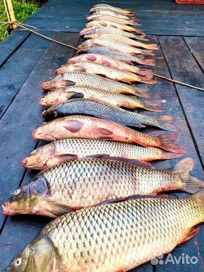 Рыбалка, охота и отдых