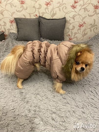 Пуховик зимний для собак