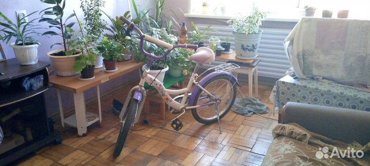 Сафари флора, велосипед