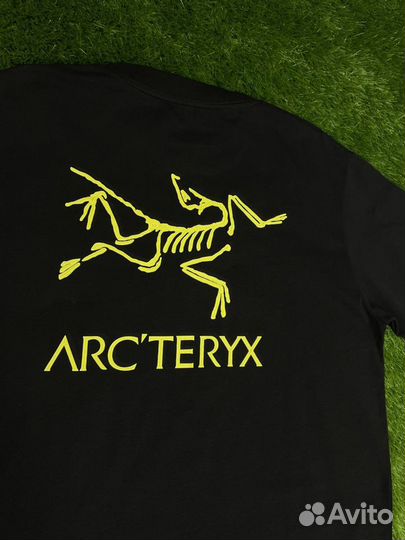 Футболка мужская Arcteryx