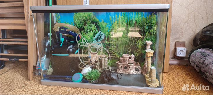 Аквариум