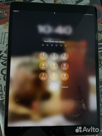 iPad pro 10.5 2017 256