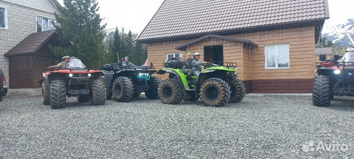 Аренда квадроцикла