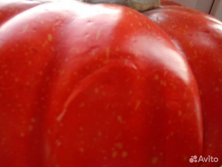 Тыква декоративная (муляж)