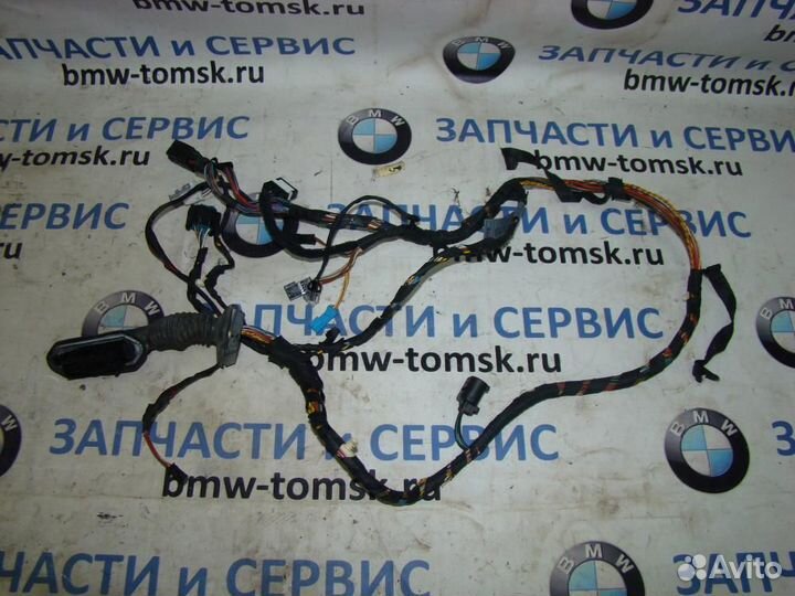 Электропроводка двери FL BMW X5 E53 2005 (Кузовное
