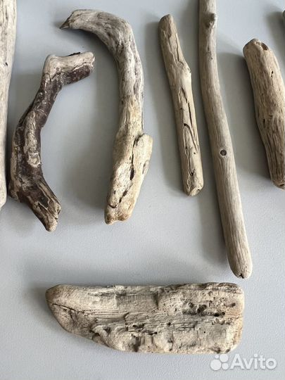 Дрифтвуд коряги с берега моря