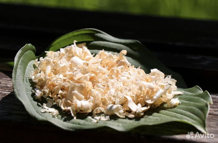 Древесная стружка в брикетах