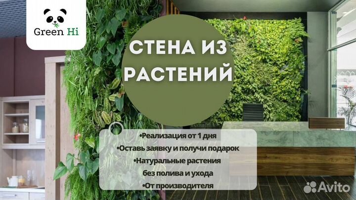 Вертикальное озеленение