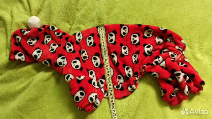 Комбинезон, носочки и кепка для собаки