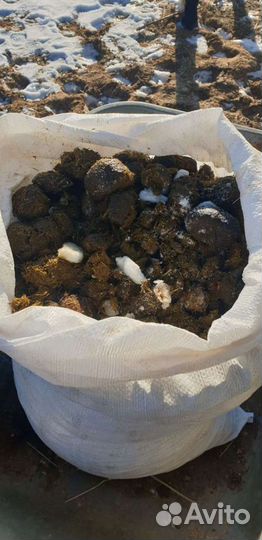 Навоз конский в мешках